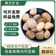 天然鹅卵石 精抛雨花石 园林铺路 装饰造景用2-3CM鹅卵石子厂家