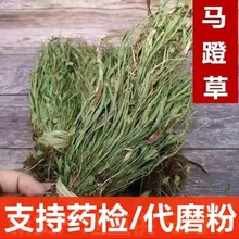 ��ș�� �R�Ų� �^��� ߀ꖲ� Сʯ�f �R�Ų� �R���� ֧��ș�z