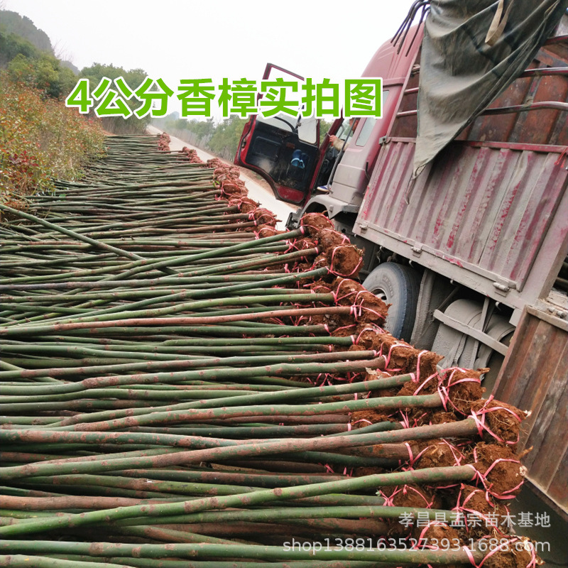 IMG_20190225_150932_����