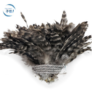 ���J���uë6-8Ӣ���J��Ӿë�^����؈����ë�������Zë