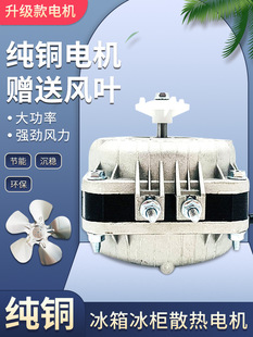 ����ɢ���L��늙C�䙙�����L�C늙C�R�_�������������չʾ�����