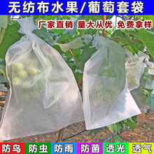 葡萄套袋专用袋无纺布水果保护袋子育果袋防虫防鸟防雨水透气包装