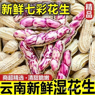 ������r��F�ڻ����F�lţ��ˮ���߲���ϻ�����������2025����