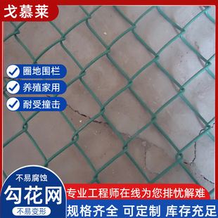 �o�¾G��������\�����W  ���������F�z�W  ��\�F�z�W�S��