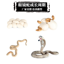 ��ͯ����ɳĮ����ģ�����Є�����������R���β�߳��L�������