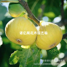 �½����S�o�����������쿹�����ğo�������Ϸ������Nֲ����Y��