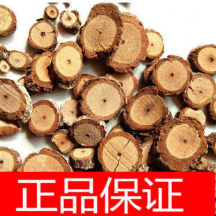 ����Ѫ�� �� Ұ��ζ���� �Ͻ��� ���]��؛��؛