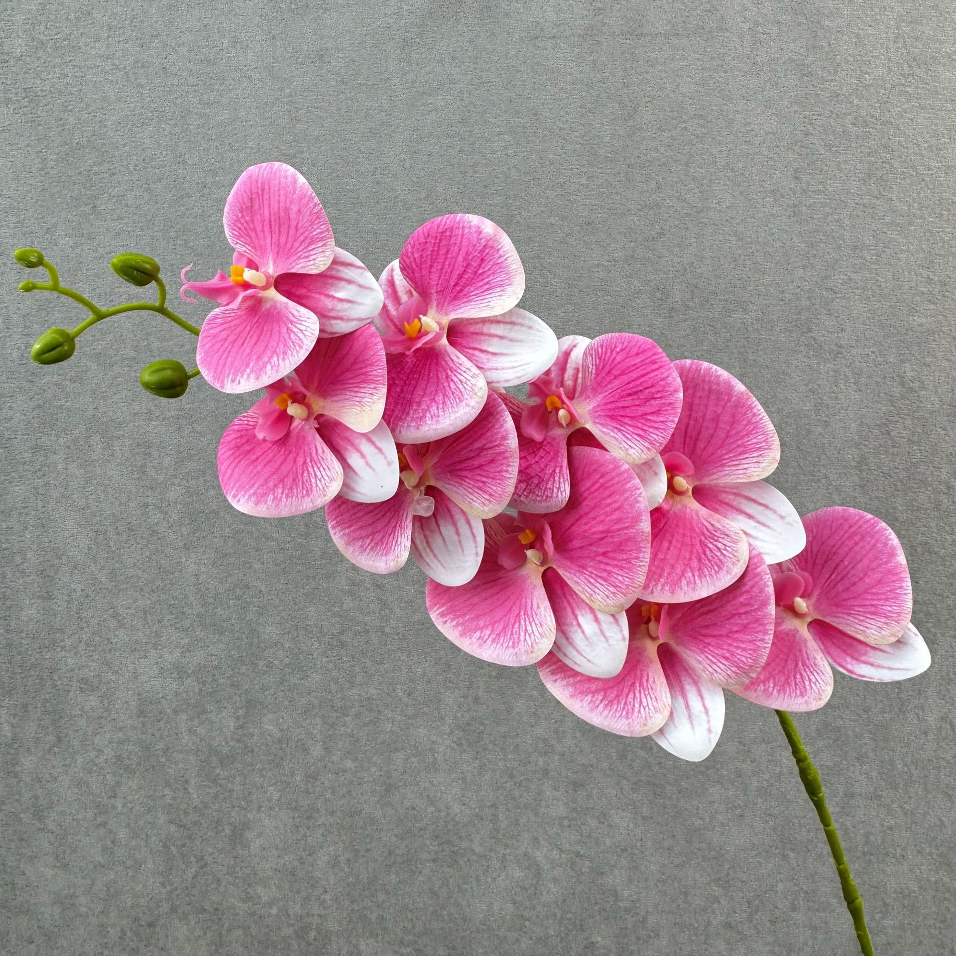 Dark pink