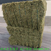 ��������ޣ�����ɲ����ϻ���ޣ���ɫ�G�|�����m���Ժ�