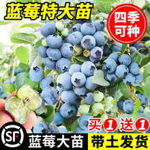 {ݮ{ݮԵԹ玧ϱNֲ۾Gʯ