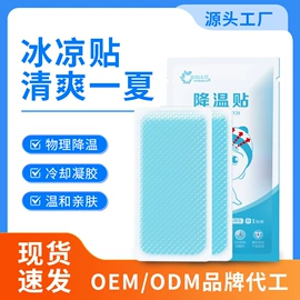 暖贴、暖宝宝;日用冰贴;其他居家日用