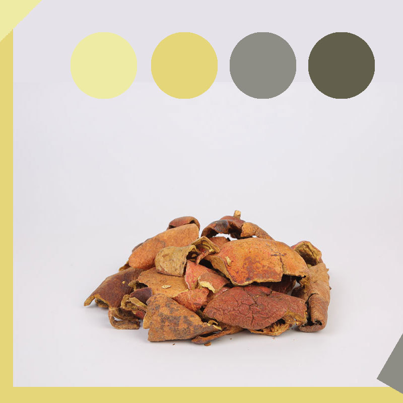 K9HX Wholesale Plant Dye Collection Traditional Printing Grass and Plant Dye DIY Materials Natural Plant Dyes