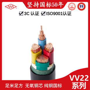 V|Sҹzb|VV22 0.6/1KVNҎ|l