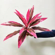 ľѪ콶Gֲ҃쾰ײPˇb