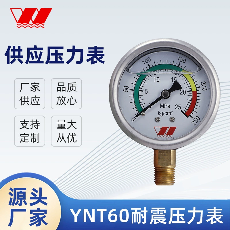 Поставка радиально-интегрированного маслостойкого сейсмостойкого манометра 1.6 класса YNT60 сейсмостойкий манометр Vika модель