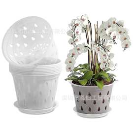 亚马逊兰花花盆 透明塑料蝴蝶兰盆带孔 植物花盆容器控根园艺工具