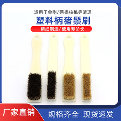 Soft and Hard Pig Bristle Bristle Brush for Gomphrena, Walnut, and Specialty Craft Brush Tool