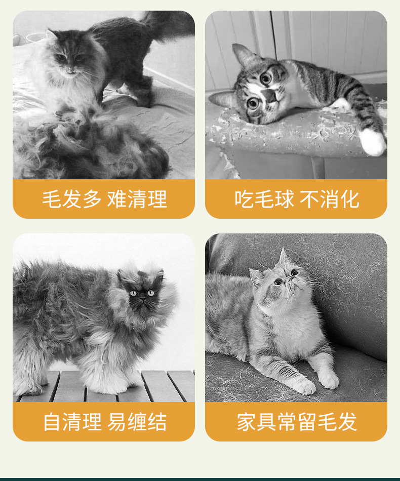 逗猫玩具