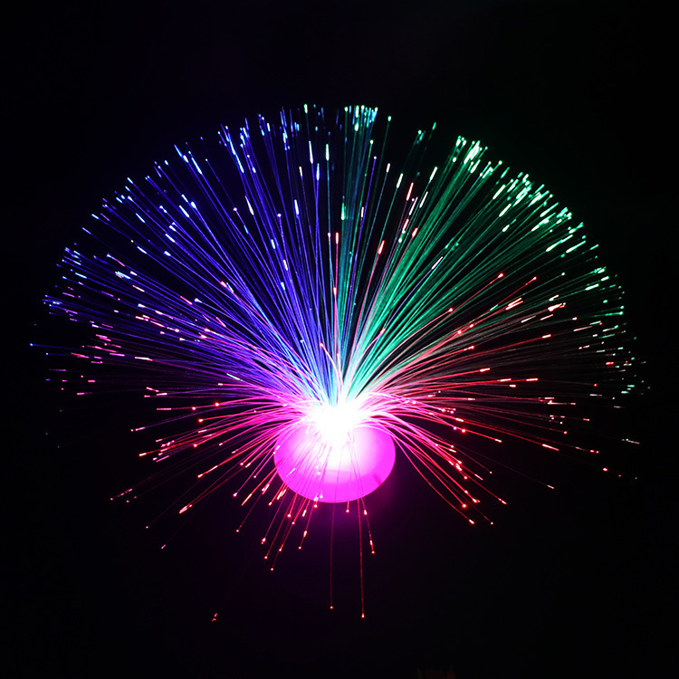 12202286728_1029632950