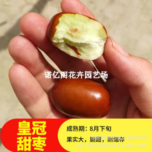 �ʹ��𗗘���޽ӗ�������ش�������Ե����Ϸ������Nֲ����Y��