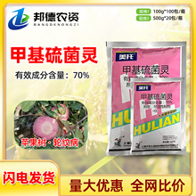 ������ 70%�׻�����`�����O��݆�y��ֲ���rș����������100g