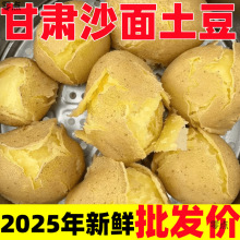 2025现挖定西土豆甘肃沙面蔬菜马铃薯洋芋黄皮黄心新鲜整箱批发