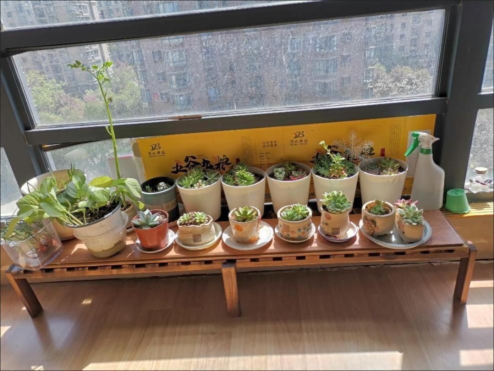 1891ce2f-4cfc-4e27-8d57-8dcf9bd1eb64.jpe