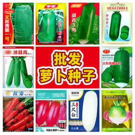 批发萝卜种子大全秋季青萝卜胡萝卜白萝卜水果萝卜家庭蔬菜萝卜籽
