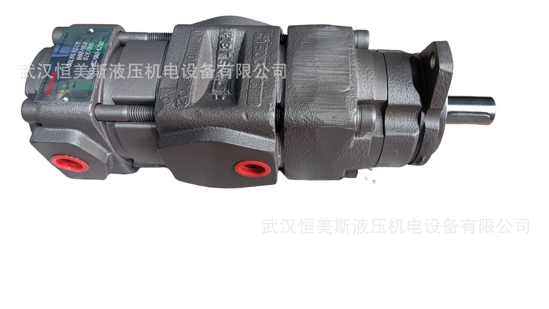 德国BUCHER布赫齿轮油泵QX32-016R11