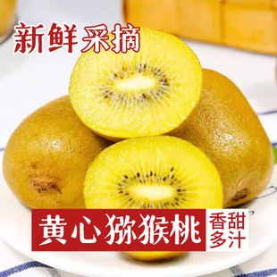 �F؛һ�����l�S�īJ�����殐��ꖹ����a��ֱ�l���r����r��ˮ��