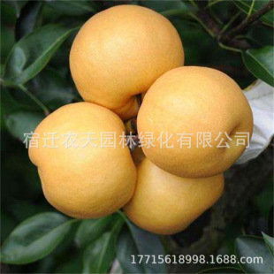 �S���������Ϸ������޽������ּt����������Ԯ���Y�������