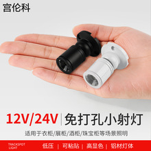 led��ɫС����۹�����΢��1W��̨12V���ƙ�չʾ�����b24V�۹��