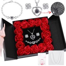 �羳ozon���_˹��������Ґ���100�N�Z��ͶӰ��16��õ�廨�Y��