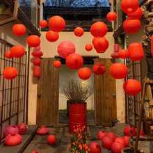 2026�¿�t���\���ͥԺ�b��ù��L�Y�������҃�С��tɫ�����\