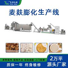 小麦麸皮粉熟化设面粉厂用大型多功能双螺杆挤压膨化机源头工厂