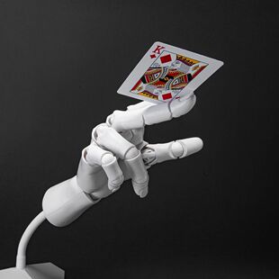 ������Ʒ1:1���������P�����Ʉӷ������L�������[���ֲ�ģ����ָ