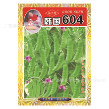 �n��604ܛ�����m�� �T�����N�I�S��ֱ��������ش���ˈ@�̨�߲�