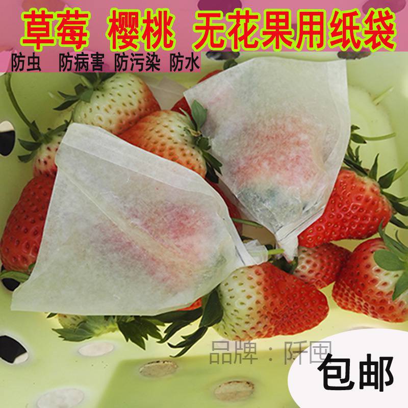 樱桃套袋杏袋李子套袋防虫防雨木瓜套袋水果袋莓套袋无花果套袋