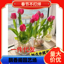 һ�����l5�w������N�����Ի��Nˮ���ذ����m�ļ��_���û����B