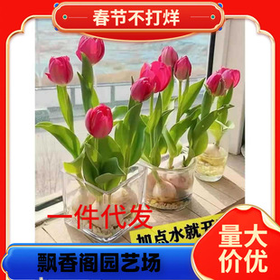 һ�����l5�w������N�����Ի��Nˮ���ذ����m�ļ��_���û����B
