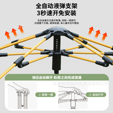 全自动弹簧帐篷杆玻璃纤维杆支架户外露营帐篷支架配件骨架伞骨