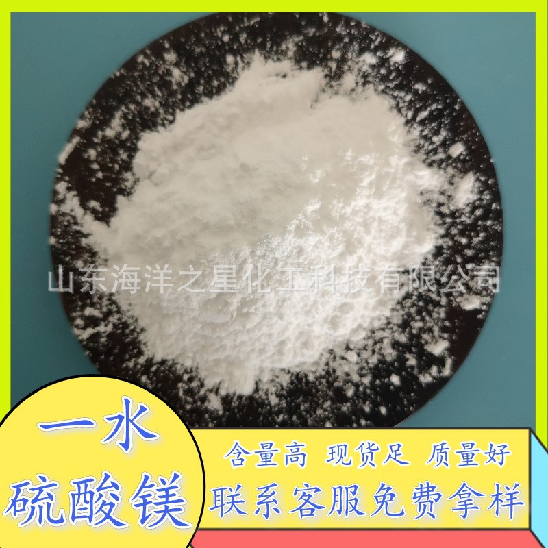 现货供应农业级硫酸镁 99含量一水硫酸镁粉末 肥料级14168-73-1