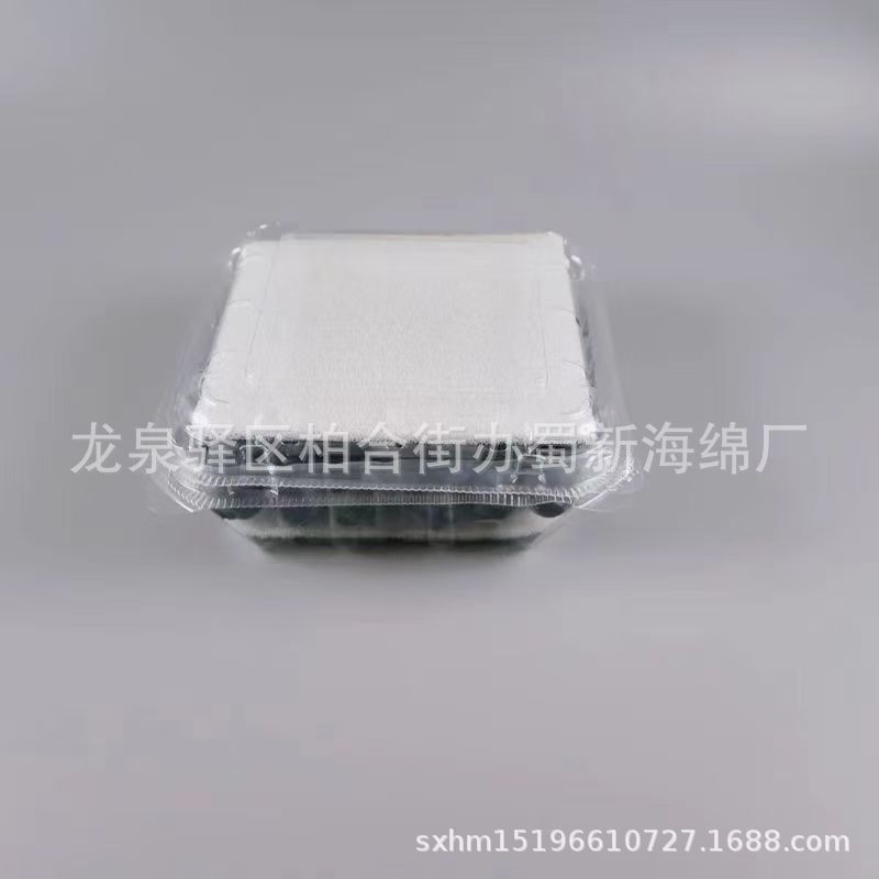 厂家供应白色草莓蓝莓桑葚阳光玫瑰各类水果吸水透气海绵垫片