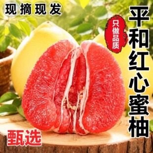 ����ƽ�ͼt�����ֱ����֭����ˮ���t���������l��Ƥ����9��Y��