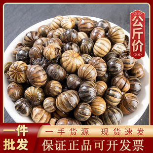 1000g�Lɽ�x��ș�ĬF؛���l������؛Դ�^ �Lɽ�� ���_�h �Lɽ���x