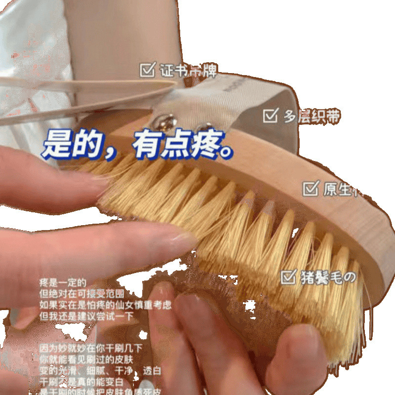 美体のスーパーモデルのドライブラシの体は豚のたてがみのミランダの可児をブラシします。|undefined