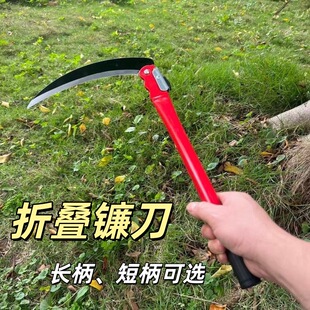 �ۯB砵��r��砵���ĥ䓸�ݵ���Ȳݵ���~�r�ߴ�砵����ݹ���