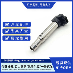 Factory Price S113705110Ea Bd0074445A Eldor78300001 Ignition Wire Suitable for Cherry