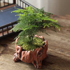 陶瓷田园仿古树头水泥小多肉老桩花盆套装粗陶植物盆栽客厅批发