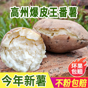 ���ݱ�Ƥ����������������t�����r��Ŵ����F���r�Ұ�������ع�